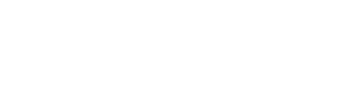 Financial Commission
